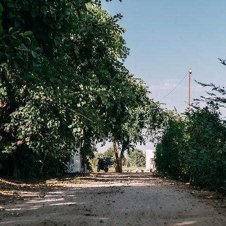 The Luxe Pushkar - A Luxury Farmstay In Pushkar Exterior foto