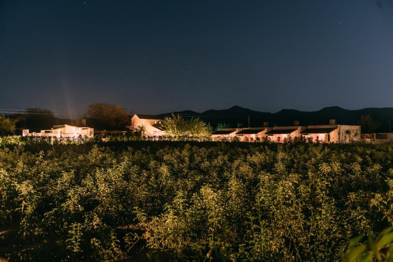 The Luxe Pushkar - A Luxury Farmstay In Pushkar Exterior foto