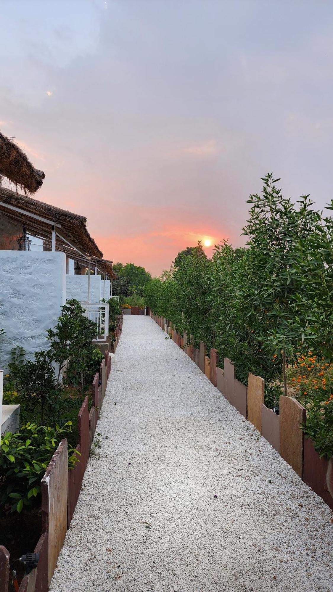The Luxe Pushkar - A Luxury Farmstay In Pushkar Exterior foto